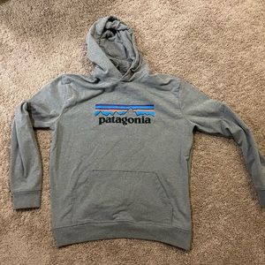 Gray Patagonia Hoodie (L)